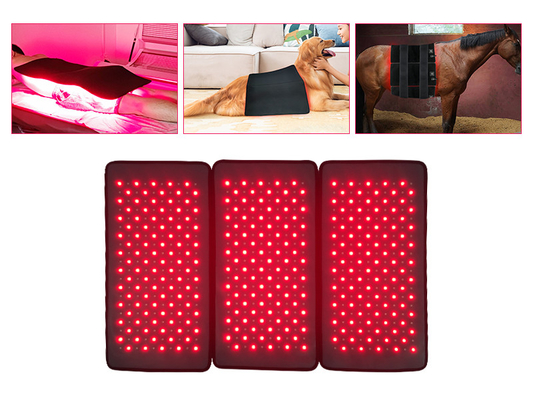 Machine rouge de thérapie de lumière du traitement 792pcs LED de PDT pour le rajeunissement de peau