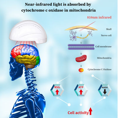 casque infrarouge de Photobiomodulation de lumière de 810nm LED pour l'amélioration d'Alzheimer