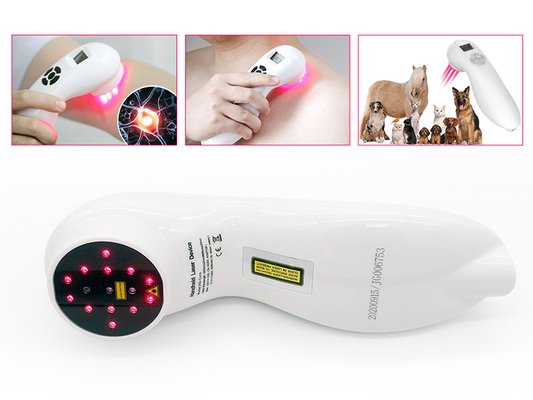 l'humain d'animal familier de dispositif de thérapie de laser de 808nm 650nm soulagent la douleur tenue dans la main